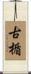 古楯 Scroll