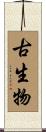 古生物 Scroll
