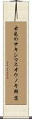 古見のサキシマスオウノキ群落 Scroll