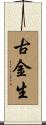 古金生 Scroll