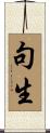 句生 Scroll
