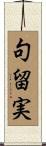 句留実 Scroll