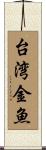 台湾金魚 Scroll