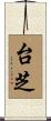台芝 Scroll