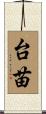 台苗 Scroll