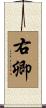 右卿 Scroll