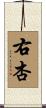 右杏 Scroll
