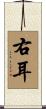 右耳 Scroll