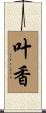 叶香 Scroll
