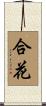 合花 Scroll