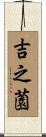 吉之薗 Scroll