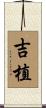 吉植 Scroll