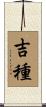 吉種 Scroll