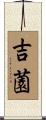 吉薗 Scroll