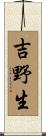 吉野生 Scroll