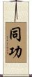 同功 Scroll