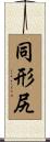 同形尻 Scroll