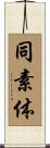 同素体 Scroll