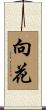 向花 Scroll