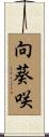 向葵咲 Scroll