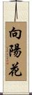 向陽花 Scroll