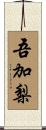 吾加梨 Scroll