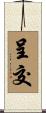 呈交 Scroll