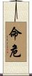 命危 Scroll