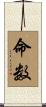 命数 Scroll