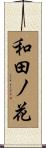 和田ノ花 Scroll