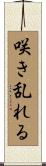 咲き乱れる Scroll