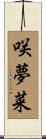 咲夢菜 Scroll