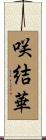 咲結華 Scroll