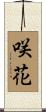 咲花 Scroll