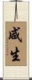 咸生 Scroll