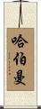 Haberman Scroll