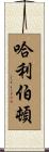 哈利伯頓 Scroll