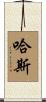 Haase Scroll