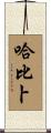 Habib Scroll
