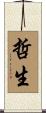 哲生 Scroll
