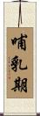 哺乳期 Scroll