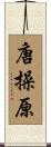 唐操原 Scroll