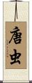 唐虫 Scroll