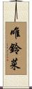 唯鈴菜 Scroll