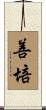 善培 Scroll