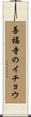 善福寺のイチョウ Scroll