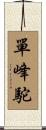單峰駝 Scroll