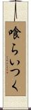 喰らいつく Scroll
