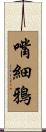 嘴細鴉 Scroll