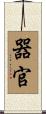 器官 Scroll
